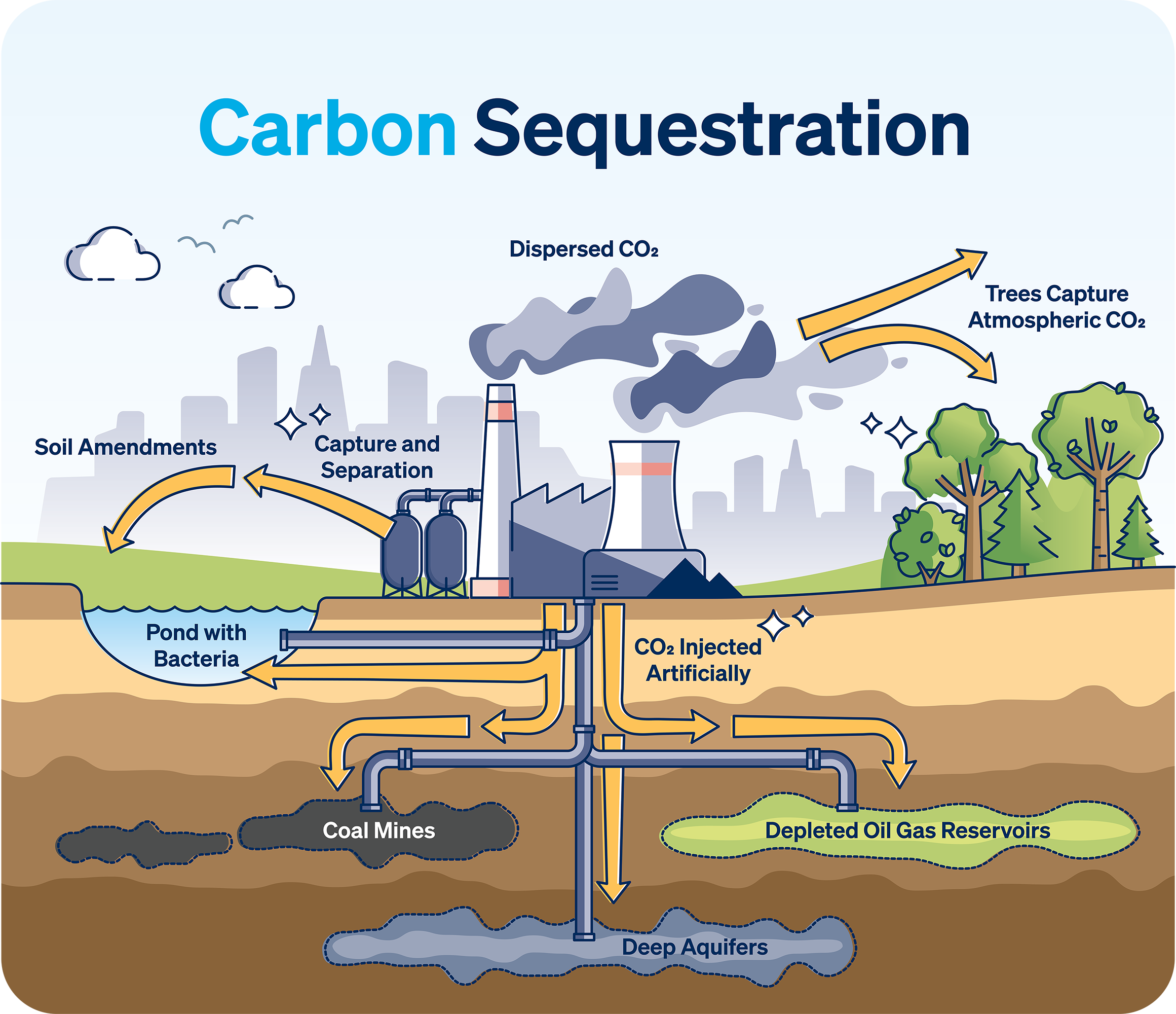 Carbon Sequestration 101: Understanding The Risks And Finding Insurance ...